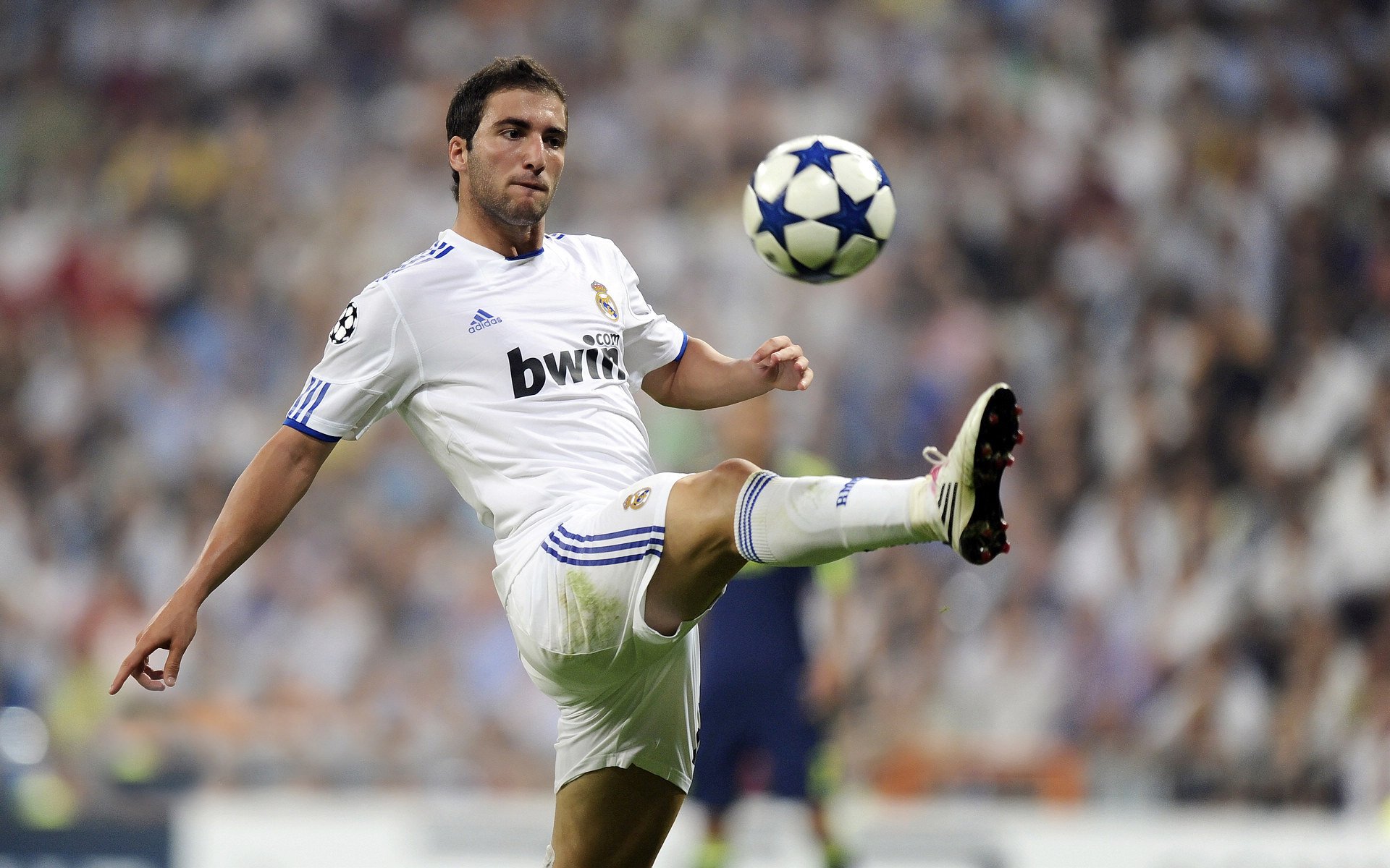 舞台越大,戈麦斯越强,当西班牙斗牛士遇见委内瑞拉勇士